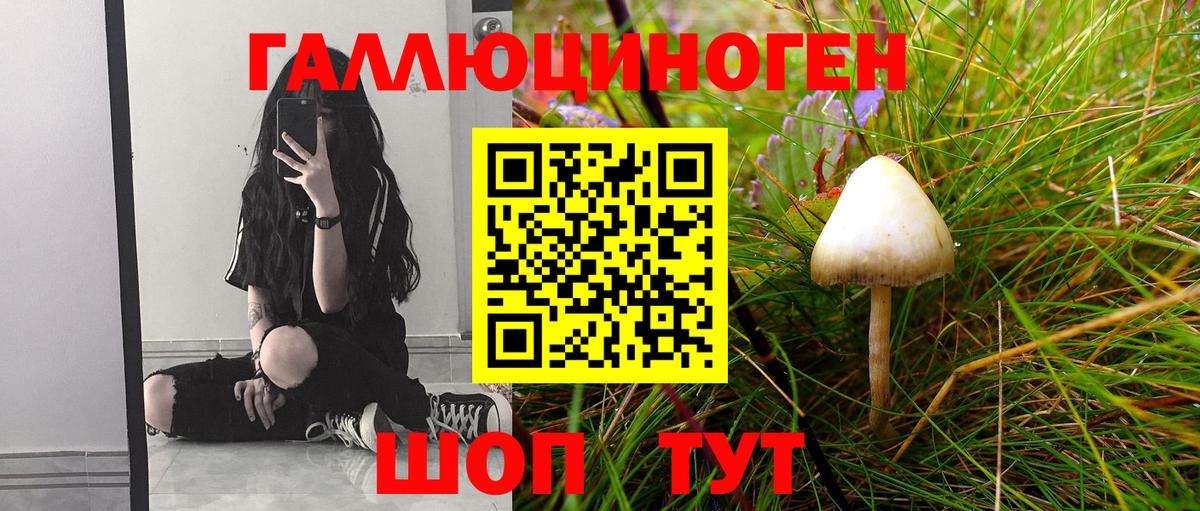 Коммунар  Псилоцибиновые грибы мицелий  Вход с VPN 