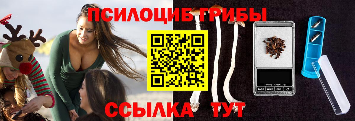 Псилоцибиновые грибы Psilocybine cubensis Коммунар